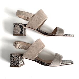 NEW: Avellini Vero Cuoio Snake Print Strap Heel size 8, 8.5 NIB